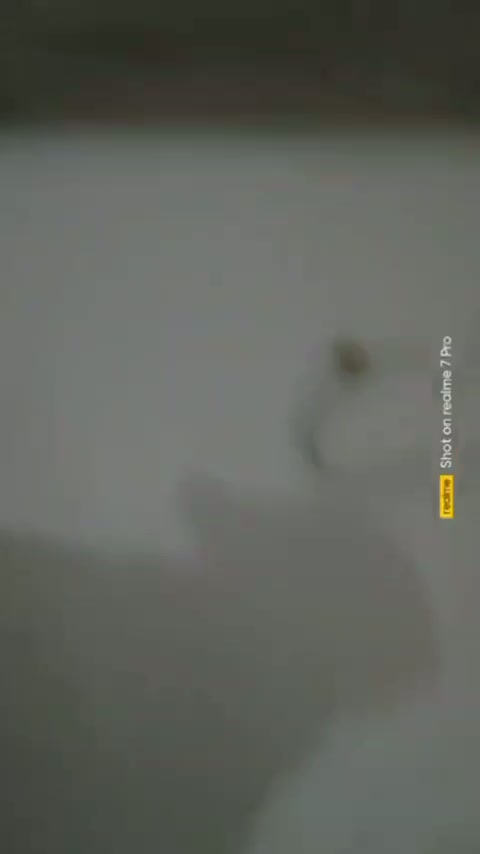 KEYLA KEILA ESEMPEH DIKEROYOK (10).mp4